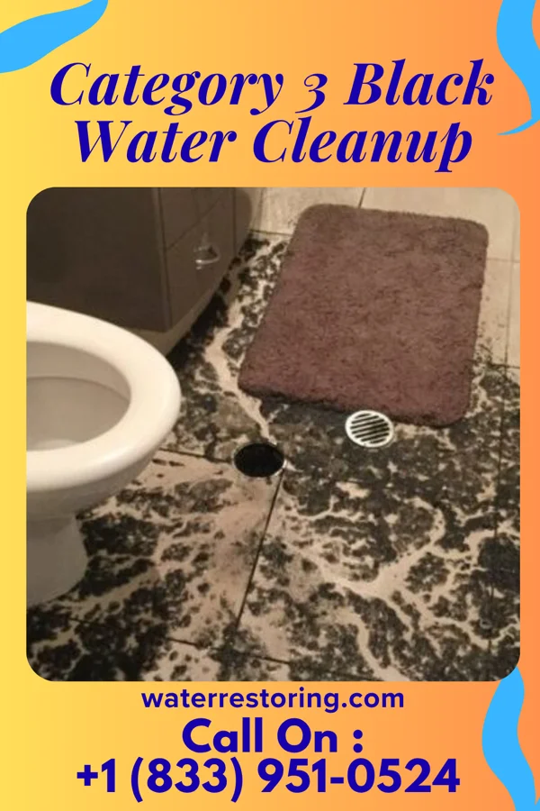 Category 3 Black Water Cleanup in Ramapo College of New Jersey, NJ