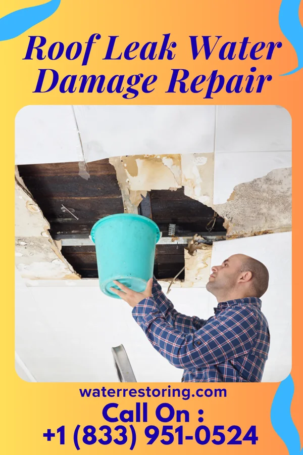 Roof Leak Water Damage Repair in Ramapo College of New Jersey, NJ