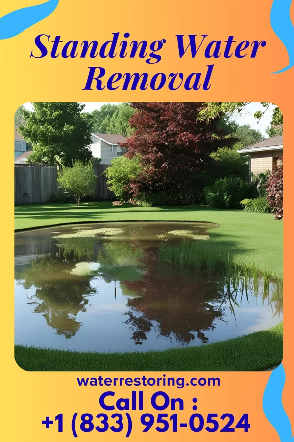 Standing Water Removal in Ramapo College of New Jersey, NJ